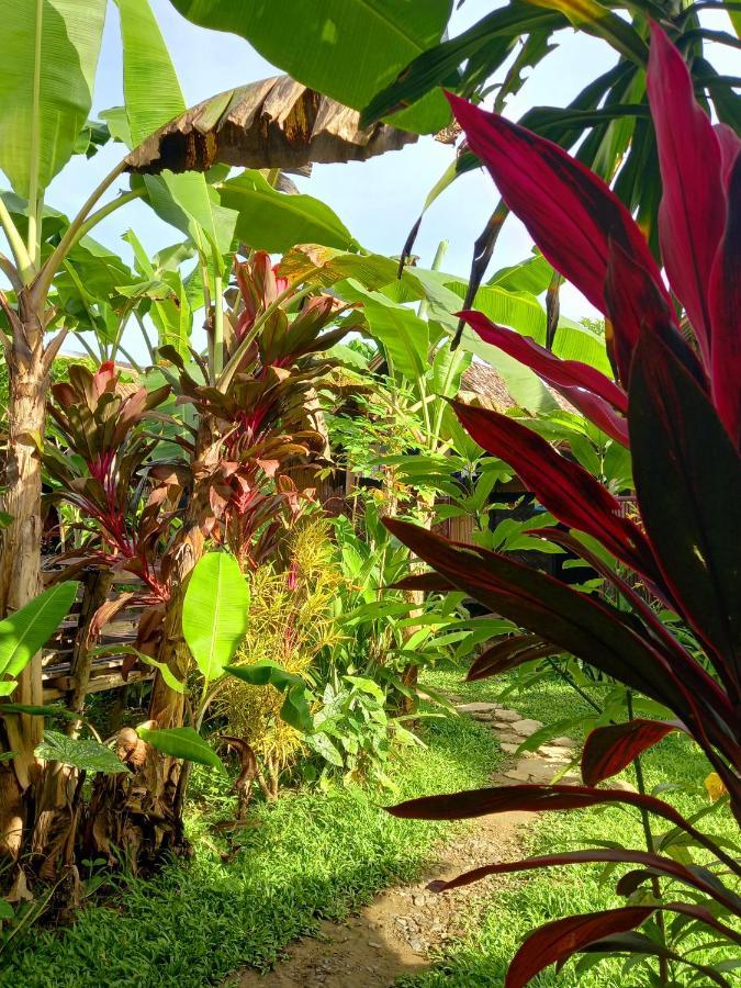 Hotel Banana Grove El Nido Esterno foto